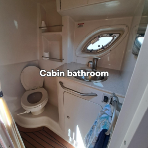 2008 Sea Ray 310 Sundancer